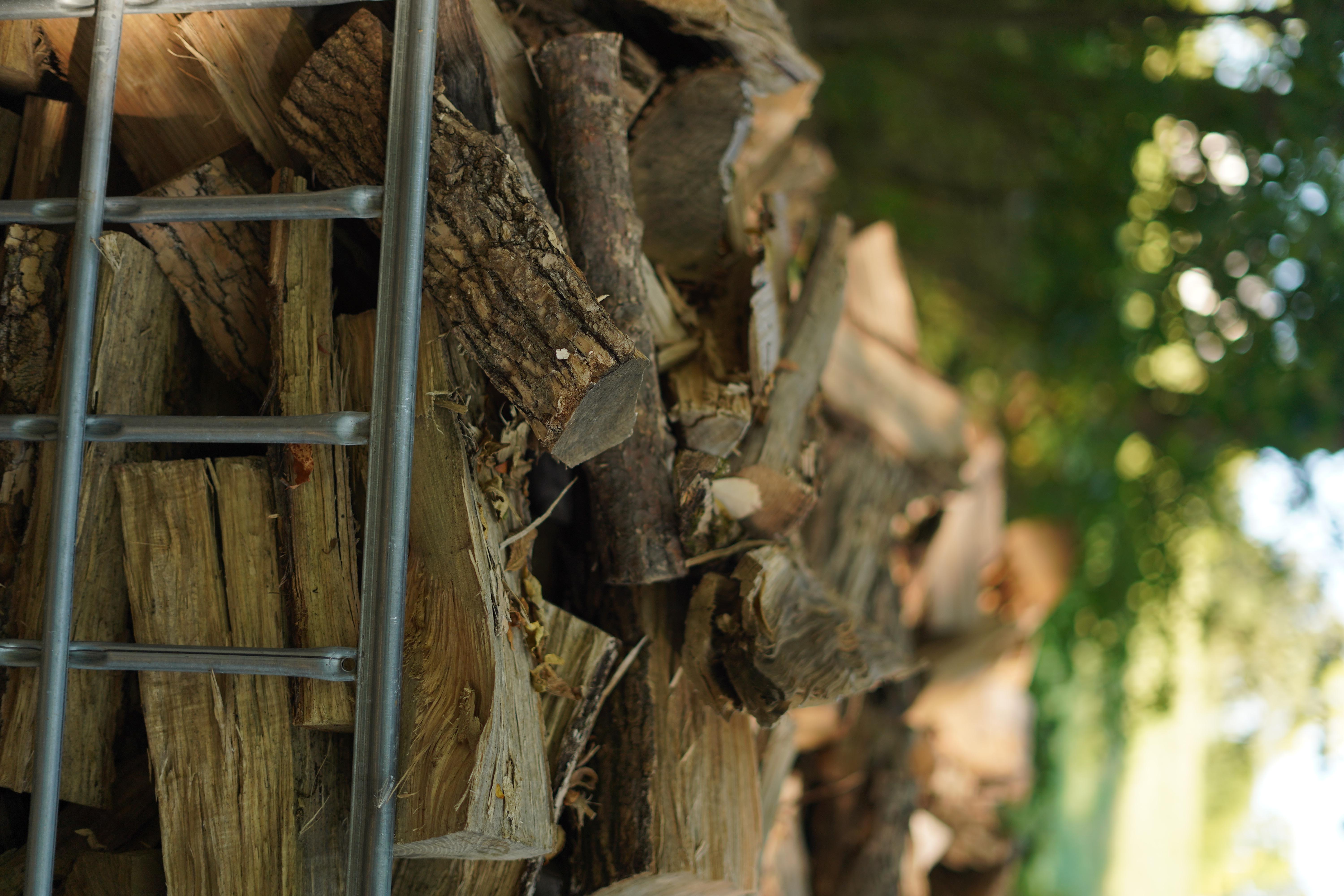 Elm firewood